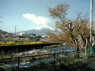 river sakura fuji 2