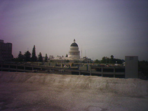 The  Capitol