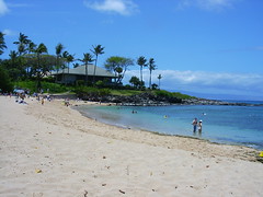 Mo Maui