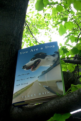 You Are a Dog in a Tree I by Terry Bain