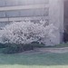 flowertree