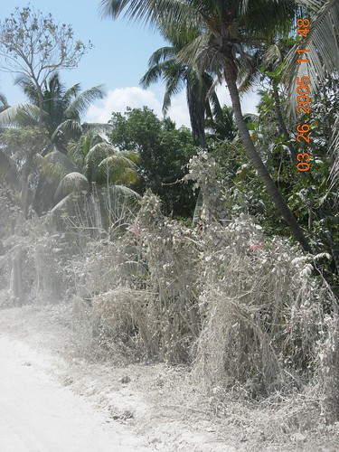 It's very dry in Haiti