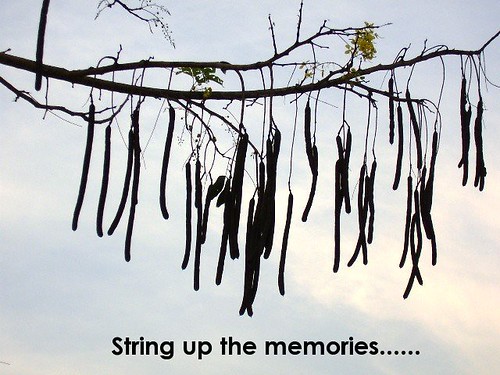 String up the memories......