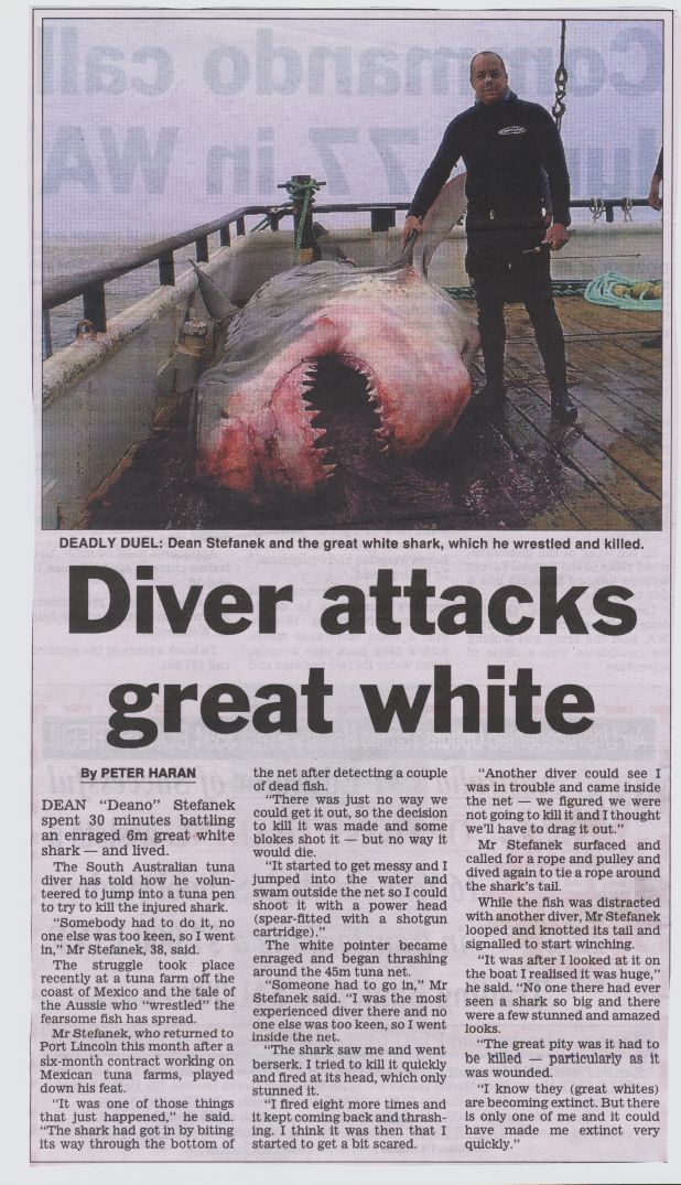 Diver Attacks Great White