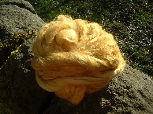 silk dyed with fustic