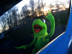 Kermit flying first-class