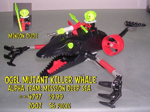 02.4797 killer whale